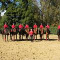 Equipe dressage SHN